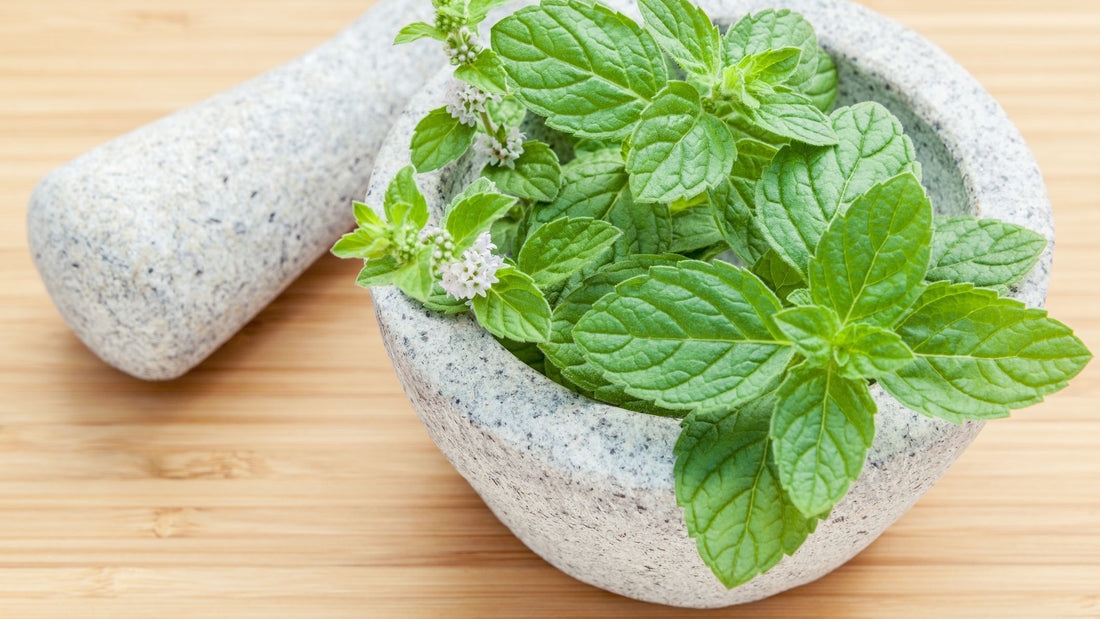 Spa pedicura Scrub Mint 1kg.