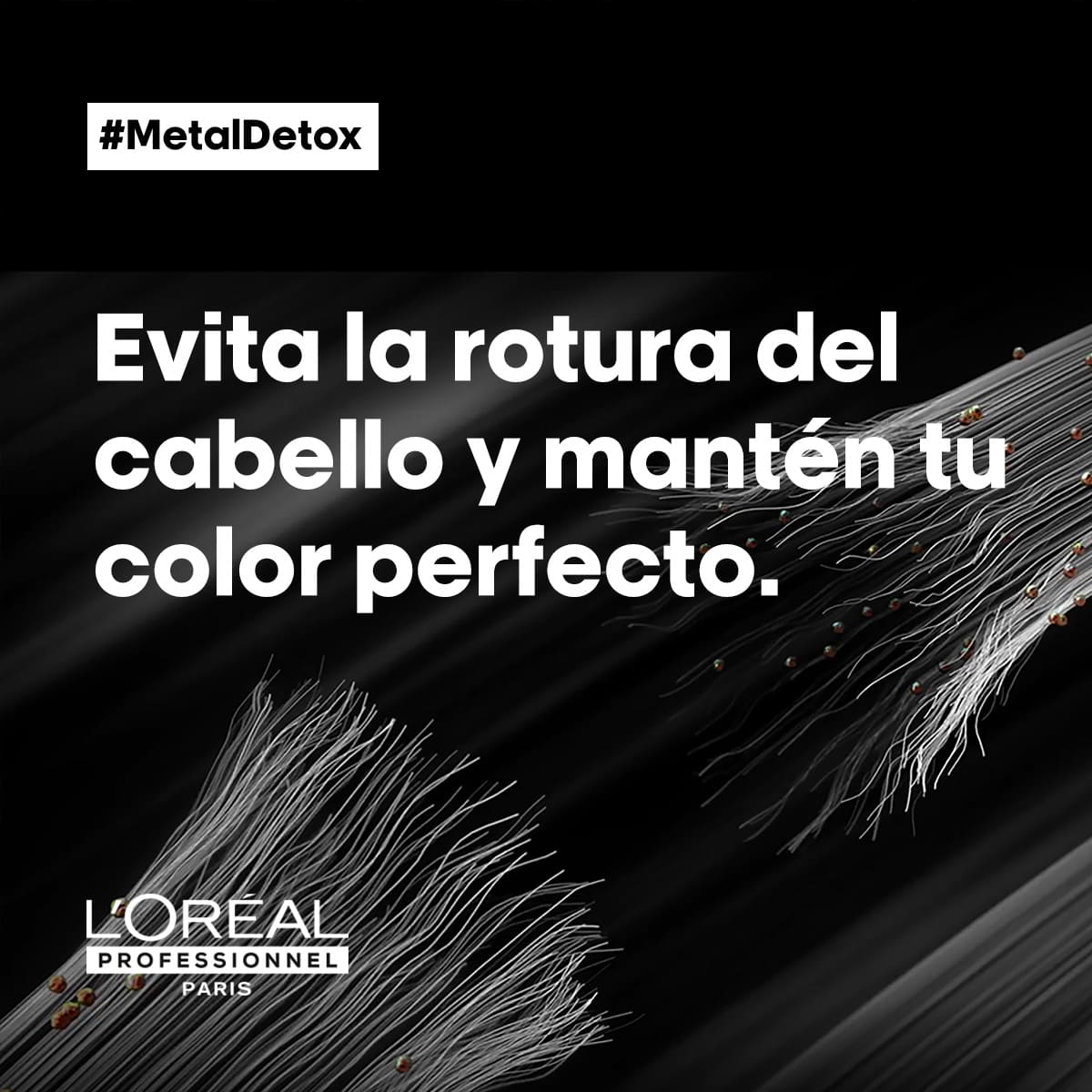 L'Óreal Serie Expert, Metal Detox Champú Sin Sulfatos 1500 ML