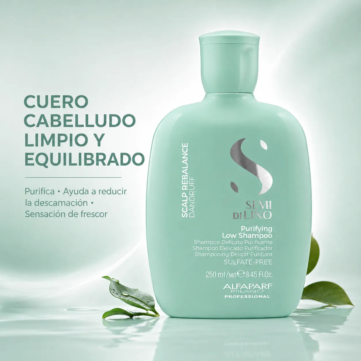 Alfaparf Milano – Champú Anticaspa Purificante 250 ml