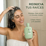 Alfaparf Semi Di Lino – Champú para Cuero Cabelludo Graso Equilibrante 250 ml
