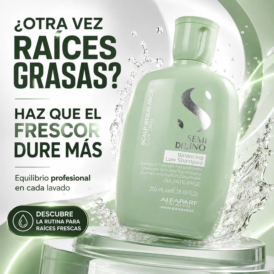 Alfaparf Semi Di Lino – Champú para Cuero Cabelludo Graso Equilibrante 250 ml