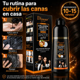 DISAAR – Champú cubre canas negro natural 400 ml