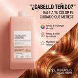 Andreia Professional – Champú para Cabello Teñido Protector del Color 300 ml / 1000 ml