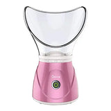 Vaporizador facial 2020, vapor caliente BY1078