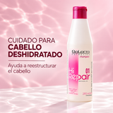 Salerm – Champú reparador Hi Repair 01 para cabello deshidratado 250 ml