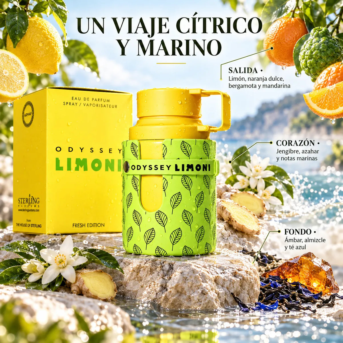 Armaf – Perfume Cítrico para Hombre Odyssey Limoni Fresh Edition 100ml