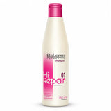 Salerm 01 Hi Repair – Champú reparador para cabello dañado 250 ml