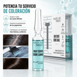 Salerm – Ampollas cubre canas Gray Cover para canas difíciles 12x5 ml