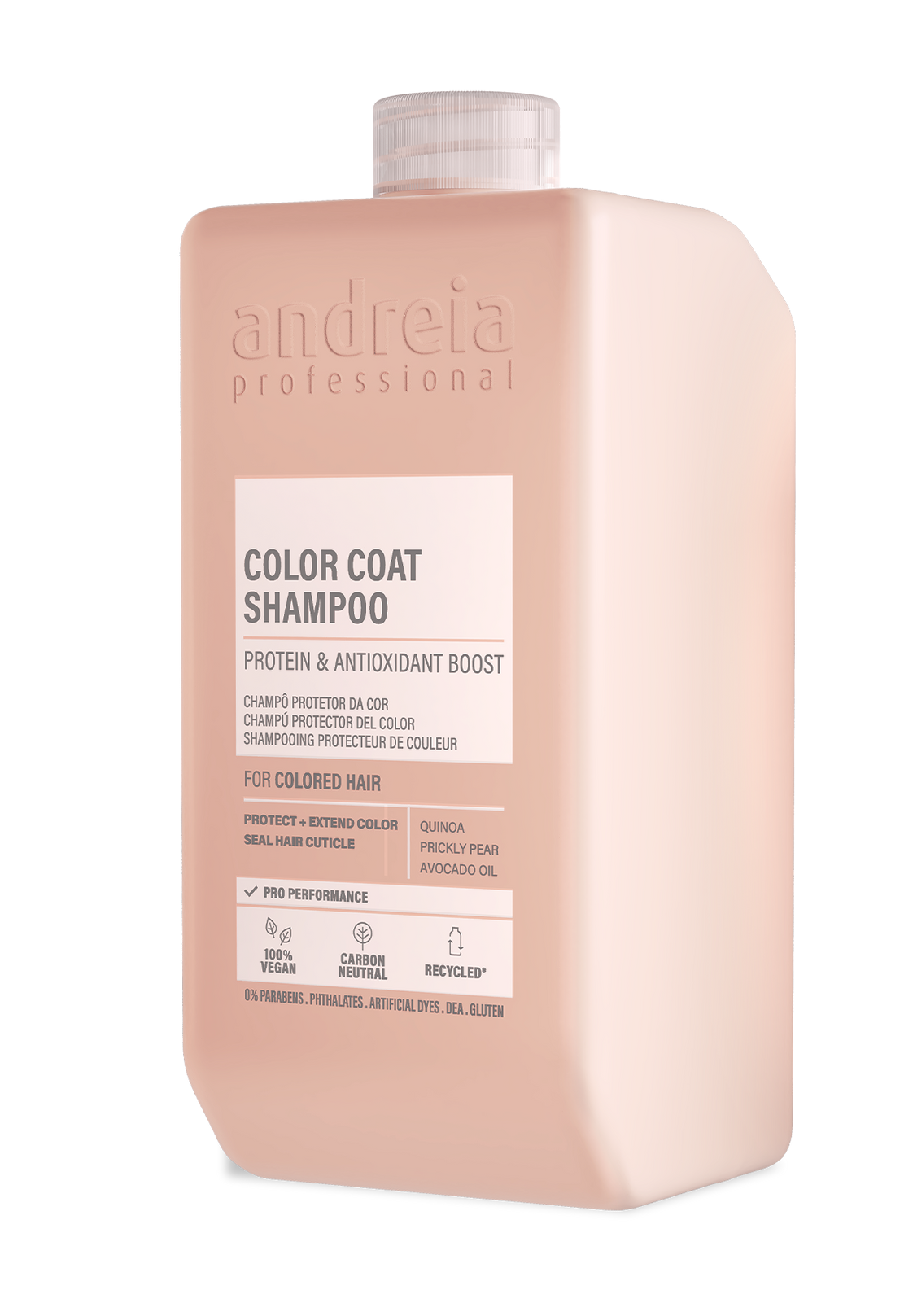 Andreia Professional – Champú para Cabello Teñido Protector del Color 300 ml / 1000 ml
