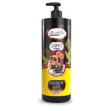 Be´Shyne®, Champú Morte Súbita, reconstructivo 1L.